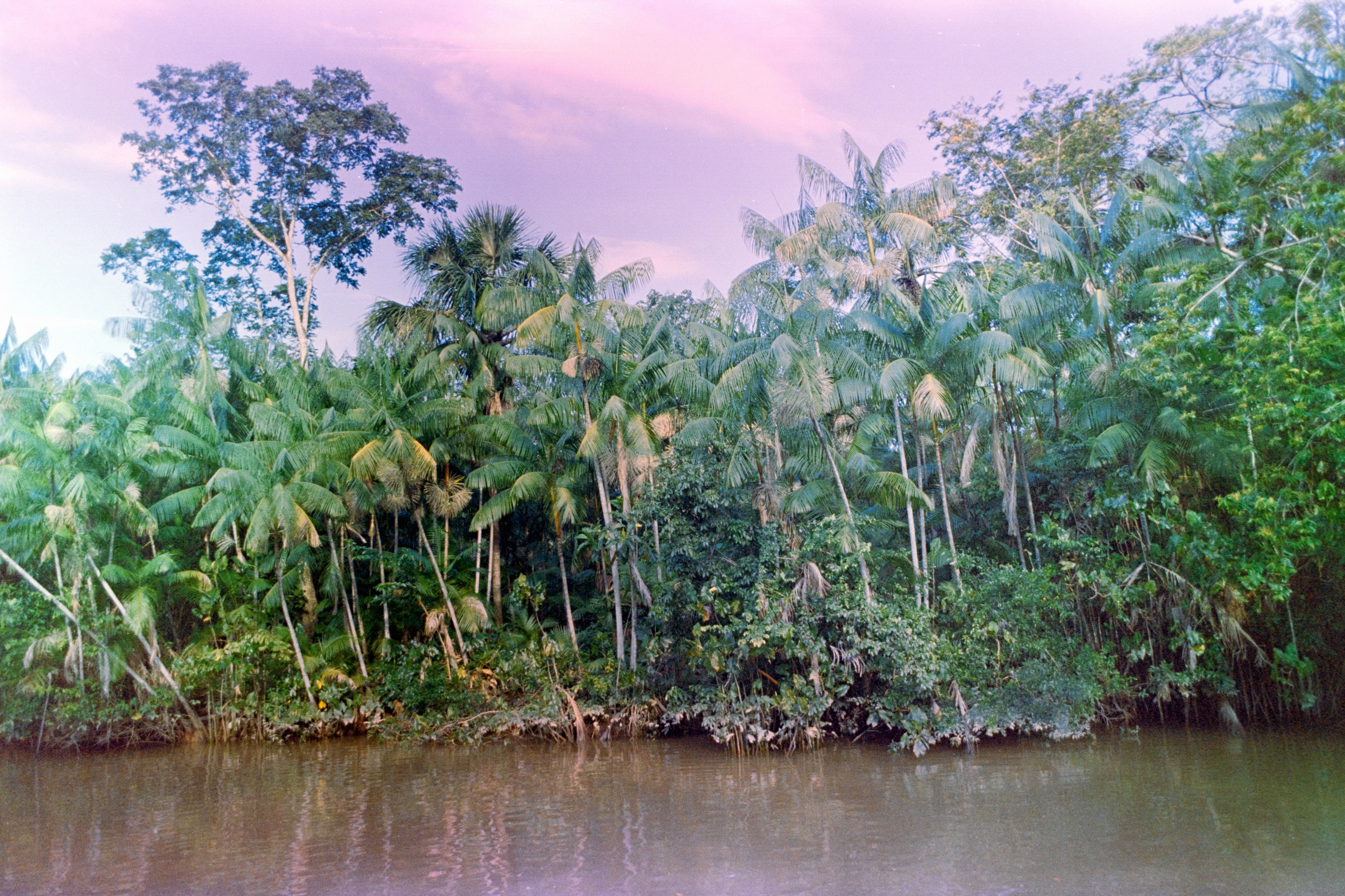 Bahia