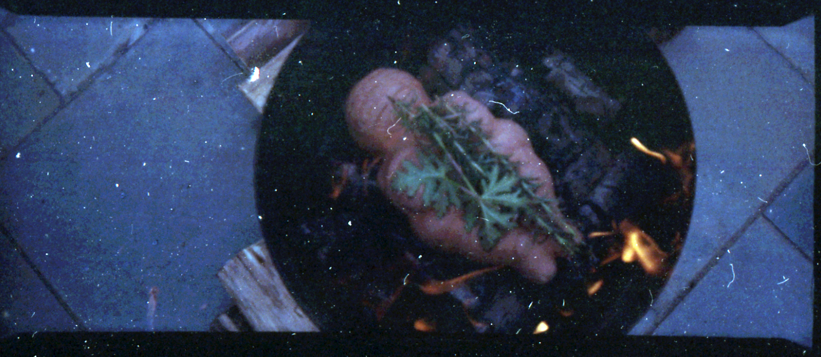 Rituais